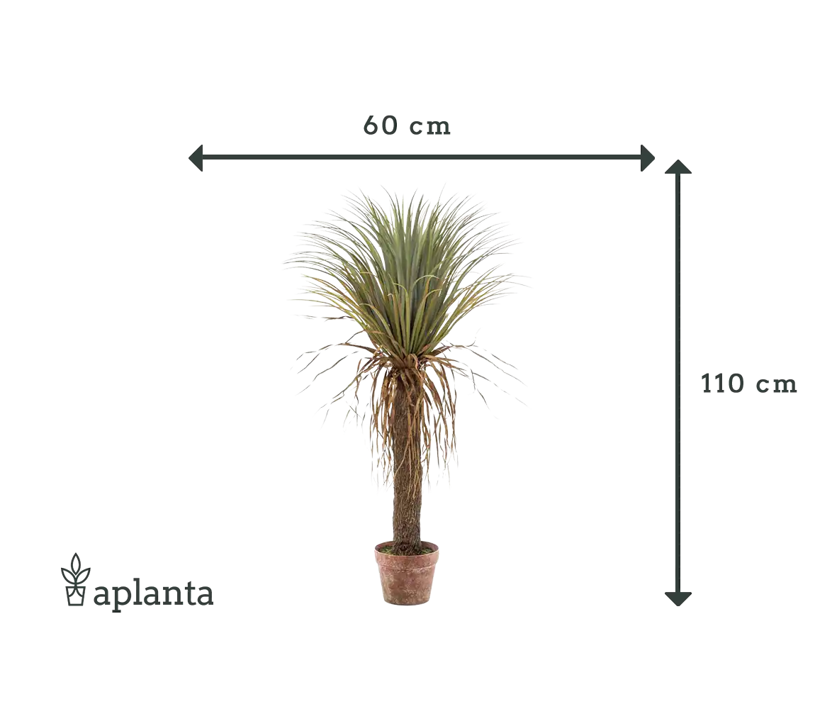 Künstliche Yucca Palme - Kristina | 110 cm