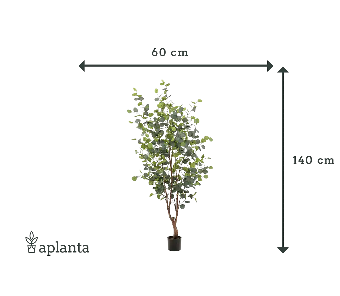 Künstlicher Eucalyptus Baum - Christopher | 140 cm