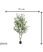 Künstlicher Eucalyptus Baum - Christopher | 180 cm