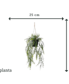Künstlicher Hänge-Zierspargel - Kilian | 50 cm