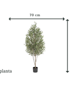 Künstlicher Olivenbaum - Cheyenne | 170 cm
