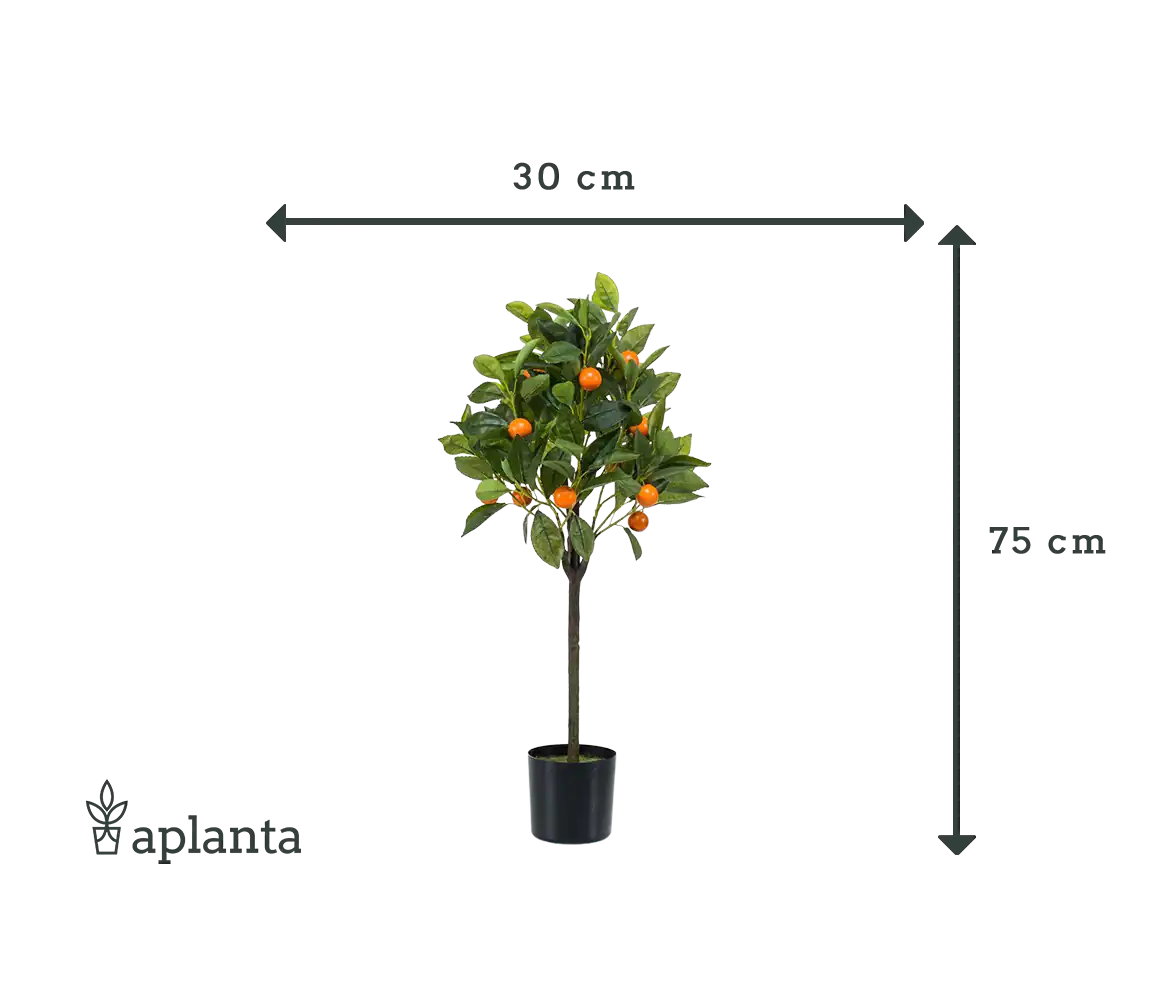 Künstlicher Orangenbaum - Julia | 75 cm