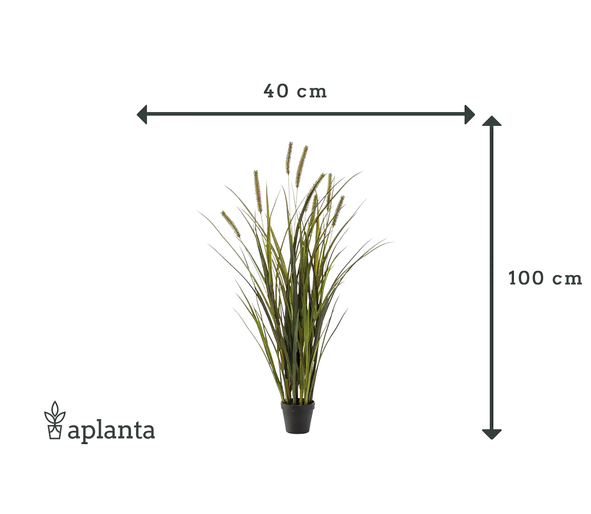 Künstliches Gras - Patrizia | 100 cm