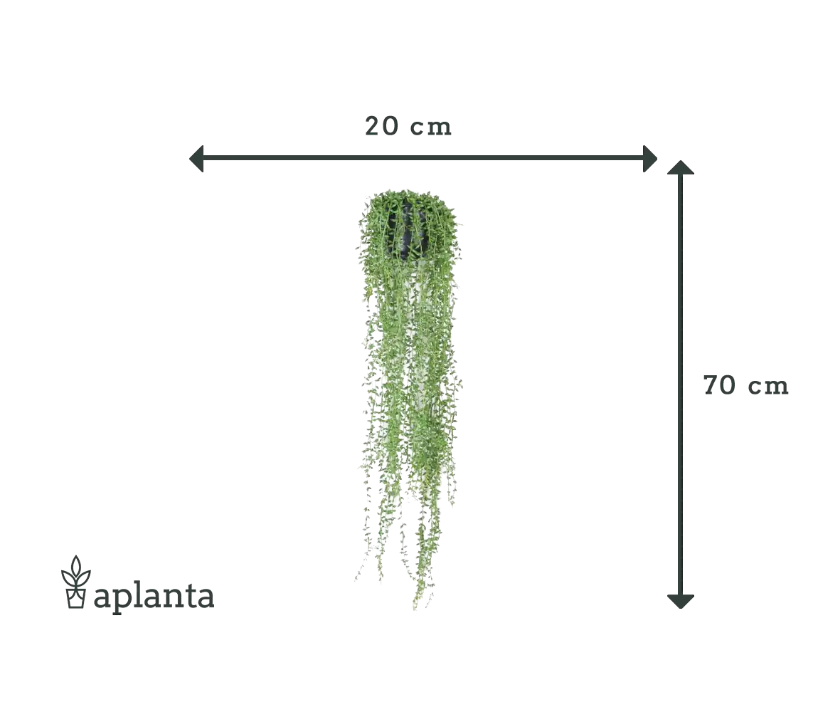 Künstliche Erbsenpflanze - Karina | 70 cm