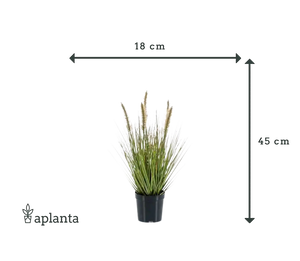 Künstliches Lampenputzergras - Paulin | 45 cm