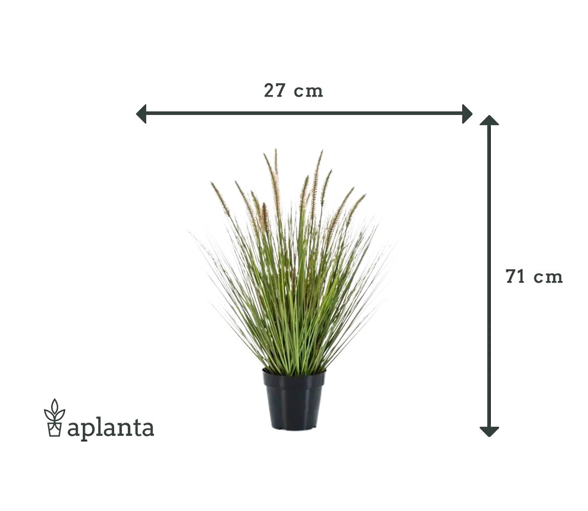Künstliches Lampenputzergras - Paulin | 71 cm